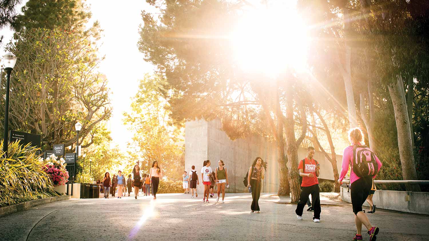 An outdoor walking path on the UCLA campus during daytime with students walking and a bright burst of light from the sun piercing through trees.